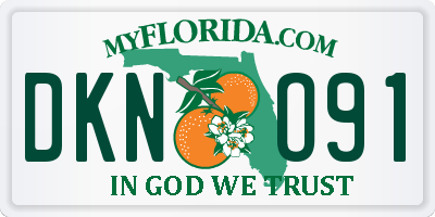 FL license plate DKNO91