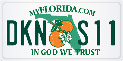 FL license plate DKNS11