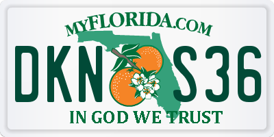 FL license plate DKNS36