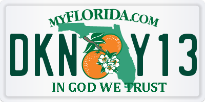 FL license plate DKNY13
