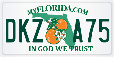 FL license plate DKZA75
