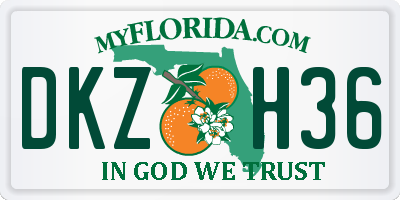 FL license plate DKZH36