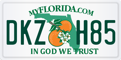 FL license plate DKZH85