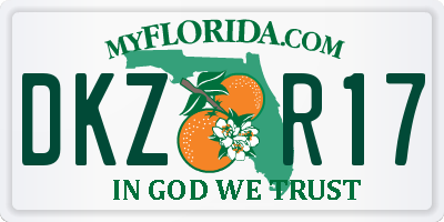 FL license plate DKZR17