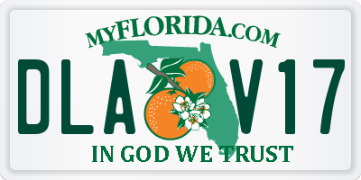 FL license plate DLAV17