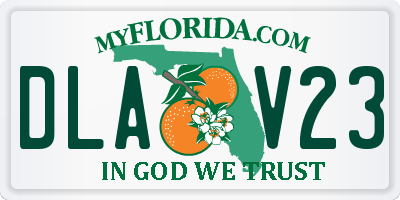 FL license plate DLAV23