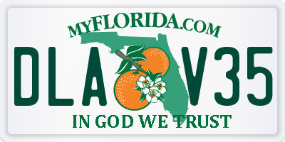 FL license plate DLAV35
