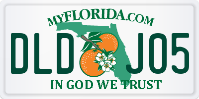 FL license plate DLDJ05