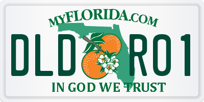 FL license plate DLDR01
