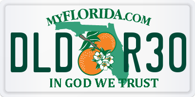 FL license plate DLDR30