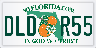 FL license plate DLDR55