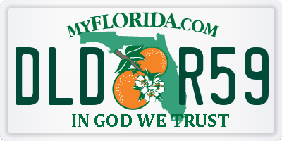 FL license plate DLDR59