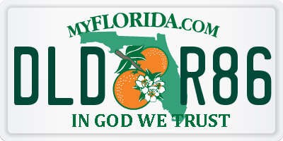 FL license plate DLDR86