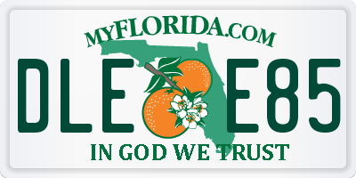 FL license plate DLEE85