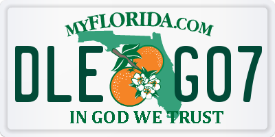 FL license plate DLEG07