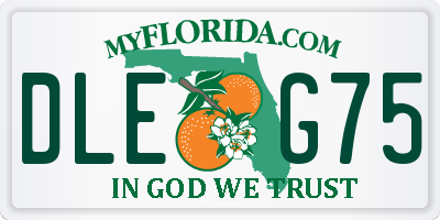 FL license plate DLEG75