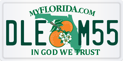 FL license plate DLEM55