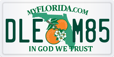 FL license plate DLEM85