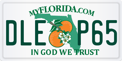 FL license plate DLEP65