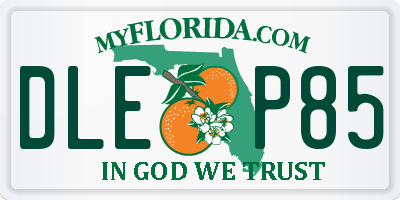 FL license plate DLEP85