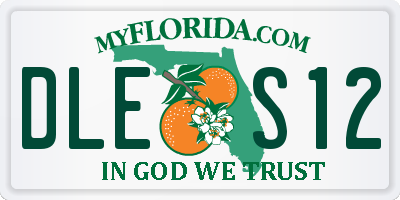 FL license plate DLES12