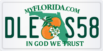 FL license plate DLES58