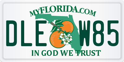 FL license plate DLEW85