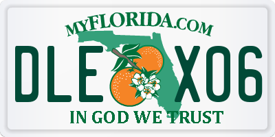FL license plate DLEX06