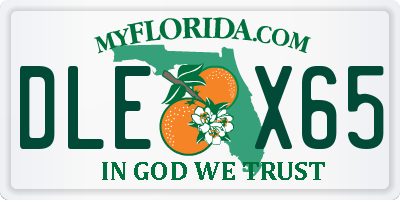 FL license plate DLEX65