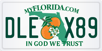 FL license plate DLEX89