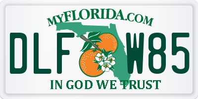 FL license plate DLFW85