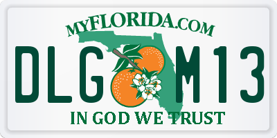 FL license plate DLGM13