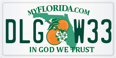 FL license plate DLGW33