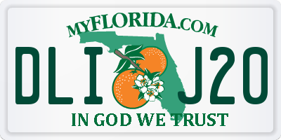 FL license plate DLIJ20