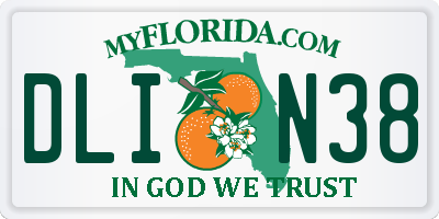 FL license plate DLIN38