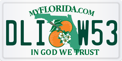 FL license plate DLIW53