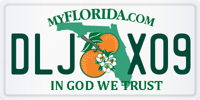 FL license plate DLJX09