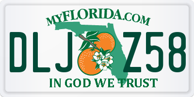 FL license plate DLJZ58