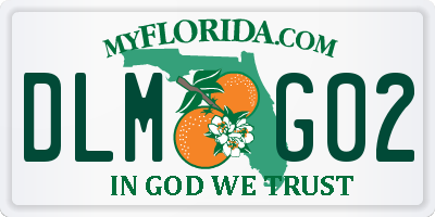 FL license plate DLMG02