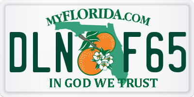 FL license plate DLNF65