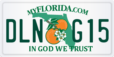 FL license plate DLNG15