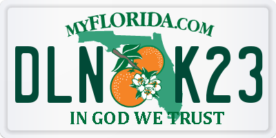 FL license plate DLNK23