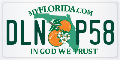 FL license plate DLNP58