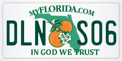 FL license plate DLNS06
