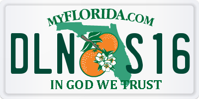 FL license plate DLNS16
