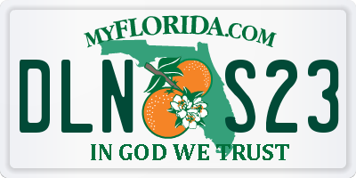 FL license plate DLNS23