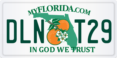 FL license plate DLNT29