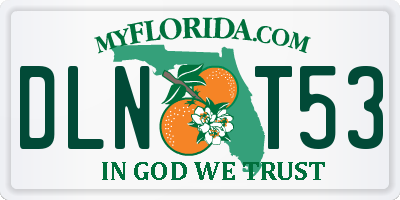 FL license plate DLNT53