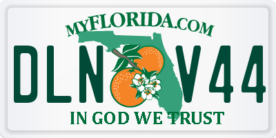 FL license plate DLNV44