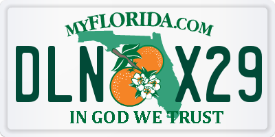FL license plate DLNX29
